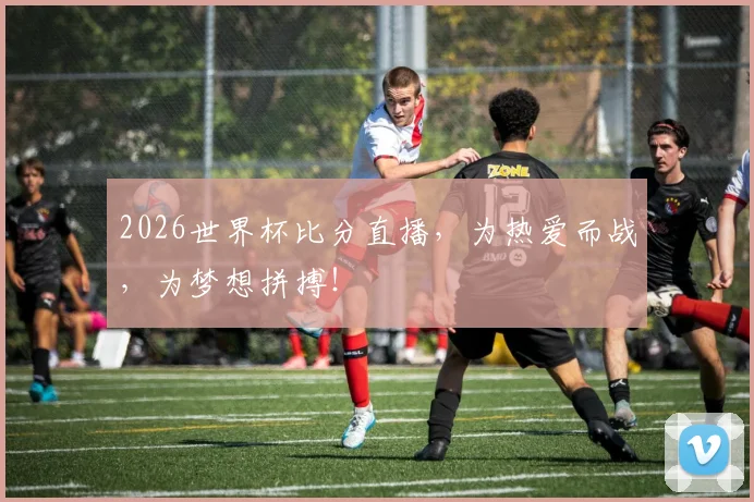 2026世界杯比分直播，为热爱而战，为梦想拼搏！