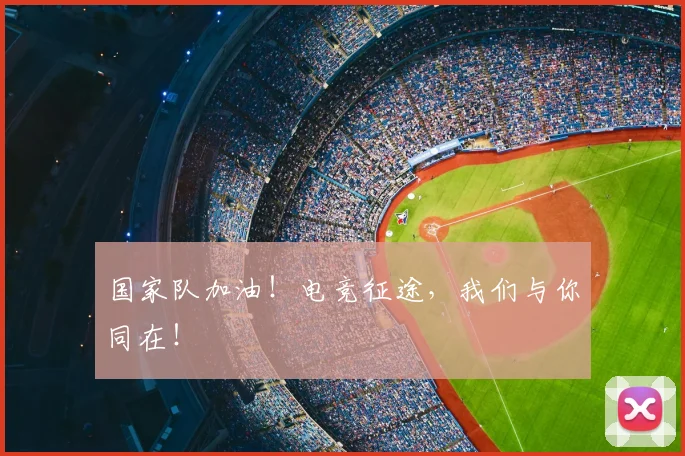 国家队加油！电竞征途，我们与你同在！